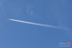 Eisstock-81