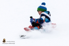 Zipfelbobrennen 2018 (61 von 120)