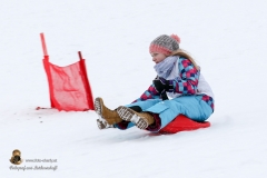 Zipfelbobrennen 2018 (83 von 120)