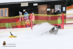 Zipfelbobrennen 2018 (97 von 120)